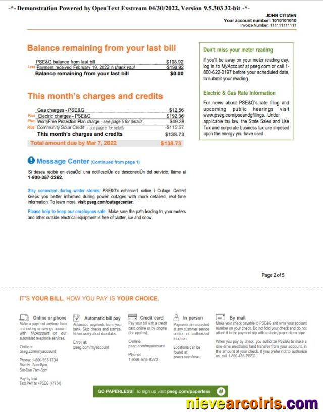USA New York PSEG utility bill, 5 pages 2